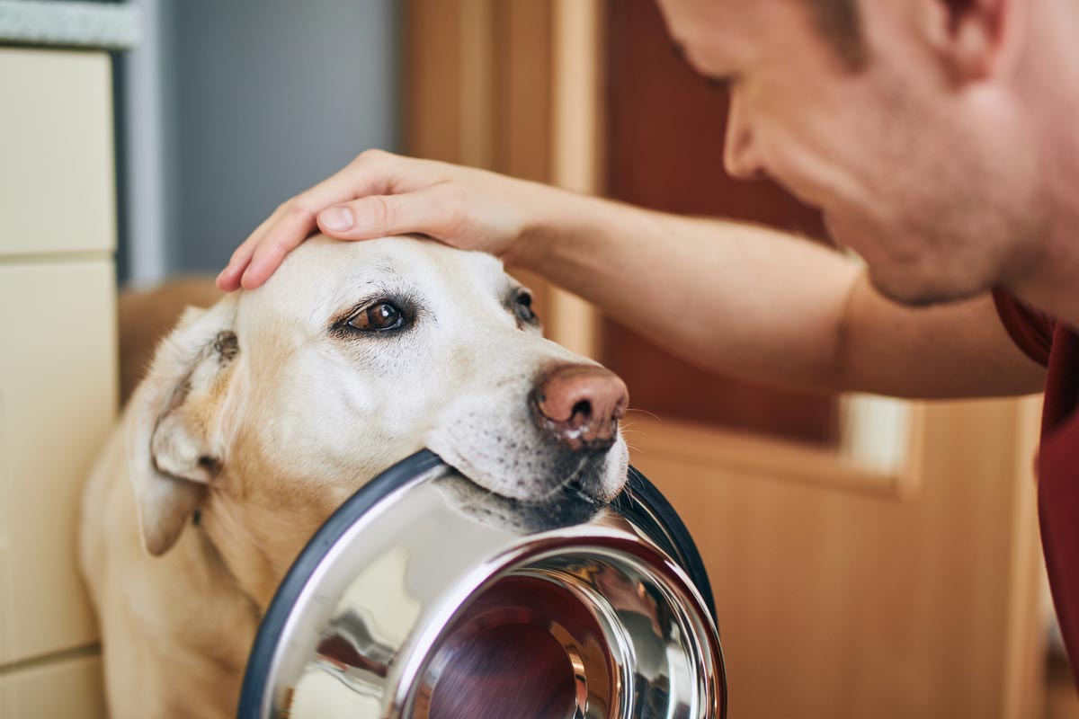 Our People King Country Pet Food